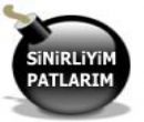 Sinirli