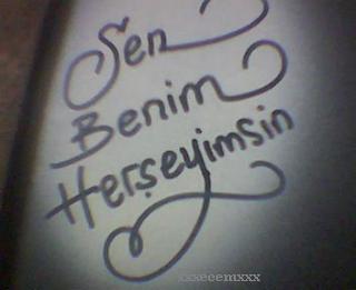 Herşeyimsin
