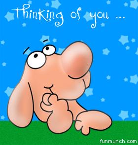 Thinking of you (dog)