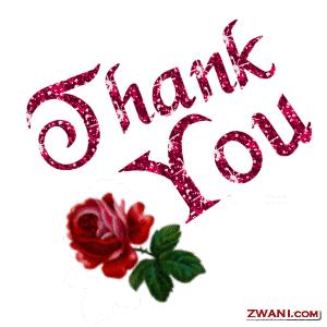Thank you (rose)