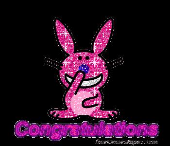 Congrats (bunny)