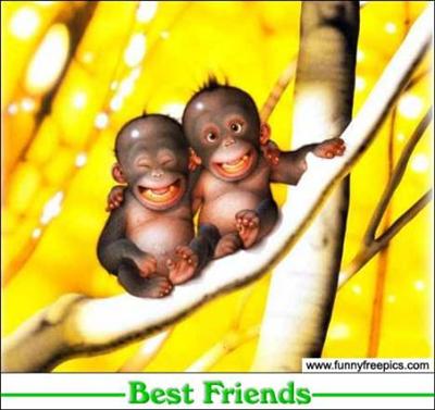 Best Friends (monkeys)