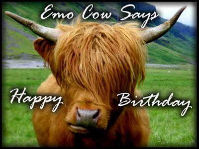 Happy B-day (funny emo)