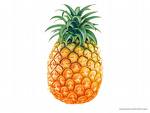 ananas