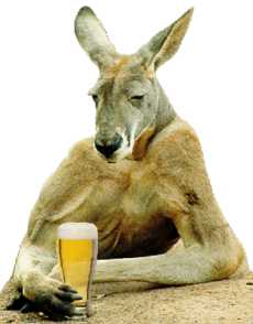Kangaroo Fart