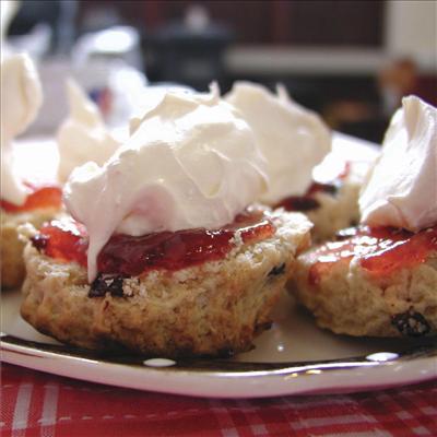 toasted scones