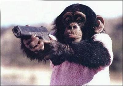 Hit Monkey