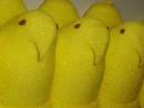 Peep Army