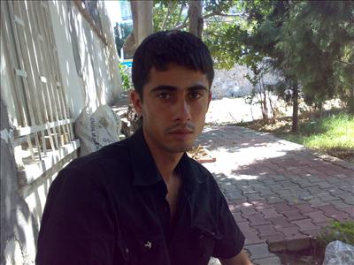 zambak