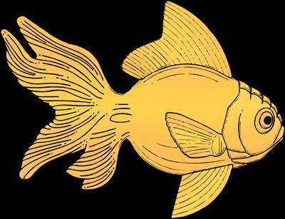 Goldfish