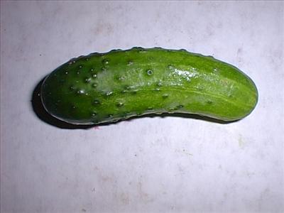 Pickle