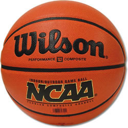 Wilson Basketball