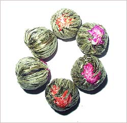 1000 Day Flower