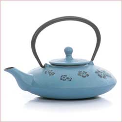 Iron teapot