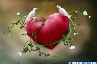 heart
