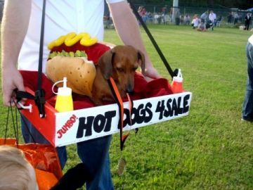 Hotdos