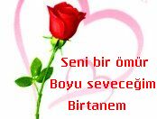 gül10