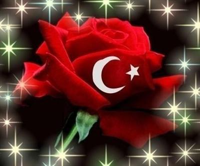 gül9