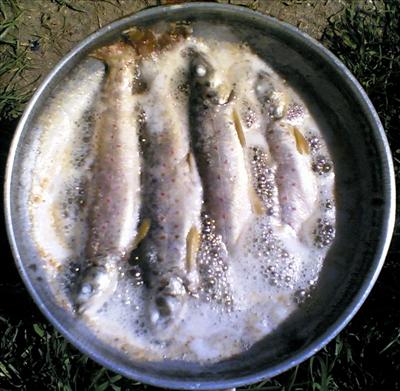 Alabalık Tava