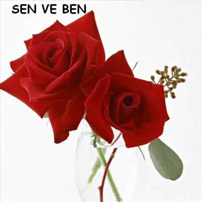 2 GÜL