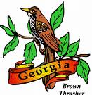 Georgia State Bird - Brown Thrasher