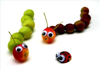 crabapple bugs