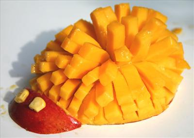mango porcupine