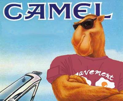 DE camel