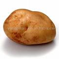 potato