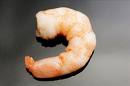prawn