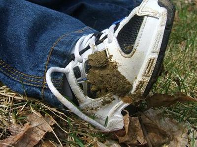 PuterPoopOnShoe