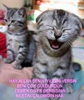 konuşan kedi