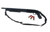 Shot gun