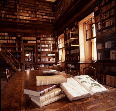 Giornata in biblioteca