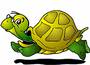 Frolicking-in-the-wind Turtle