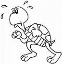 Tired Turtle