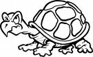Cranky Turtle