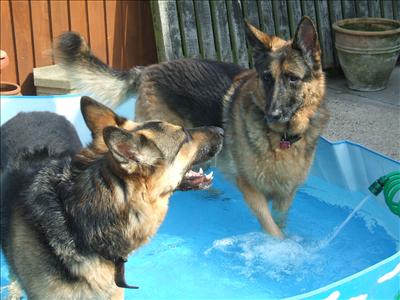 playtime 