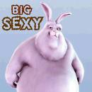 Big 'n' Sexy Comments