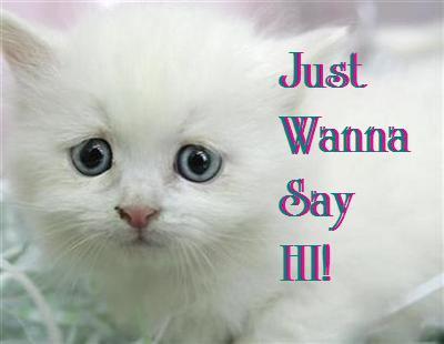 Cat Comments