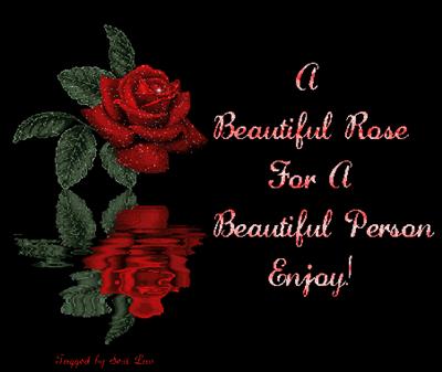 Beautiful Rose Comments