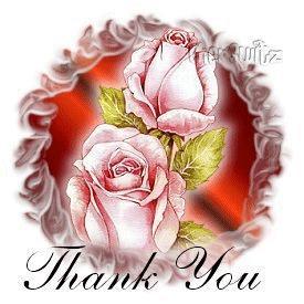 Thank You Rose Comment