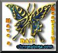 Butterfly Comments
