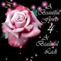 Pink Rose Comments