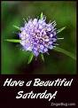 Flower Comments
