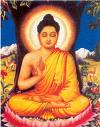 \"Better than a thousand hollow words is one word that brings peace\" - Buddha