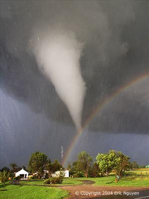 chase the storm
