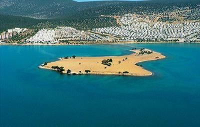 Akbuk didim