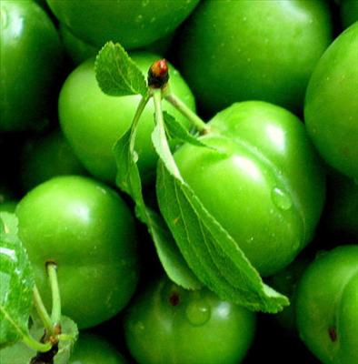 Yesil