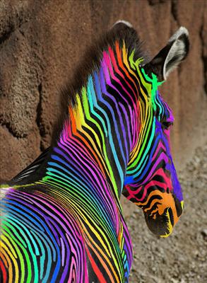 Hhhmmm none of the above that i like lets just say i like all of the colors of the rainbow! :)
